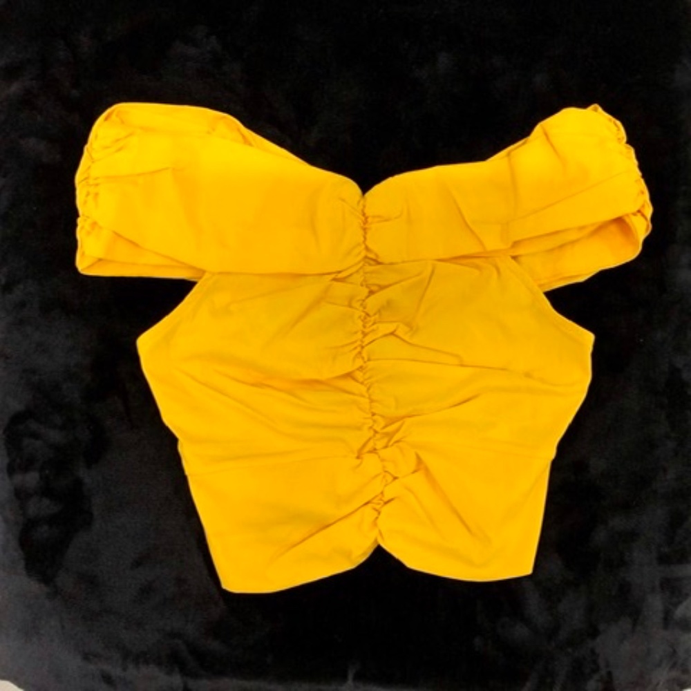 NEW ZARA Cute Cropped Rushed Top, M